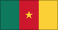 Cameroon Flag